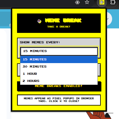 Extension Popup Interface